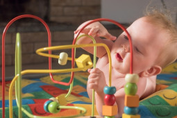 Top Questions About Brain Development In Toddlers 1-2 Years